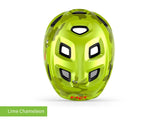 #colour_lime chameleon